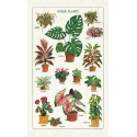 Cavallini Vintage Tea Towel Natural Cotton 48*80cm House Plants