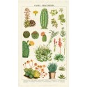 Cavallini Vintage Tea Towel Natural Cotton 48*80cm Succulents