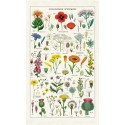 Cavallini Vintage Tea Towel Natural Cotton 48*80cm Wildflower