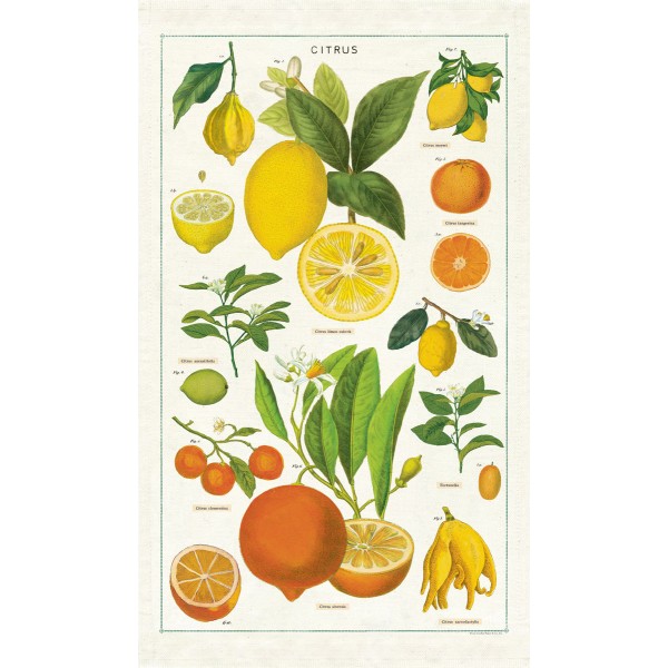 Cavallini Vintage Tea Towel Natural Cotton 48*80cm Lemon