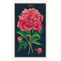 Cavallini Vintage Tea Towel Natural Cotton 48*80cm Botanica Peony 