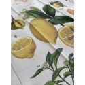 Cavallini Vintage Tea Towel Natural Cotton 48*80cm Fruit