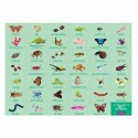Mudpuppy 64 Pc Search & Find Puzzle – Bugs & Butterflie Kids Puzzle Age 4+
