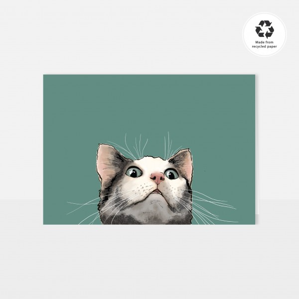 Chlo Studio Greeting Card Cat Pattern Card Curious Cat