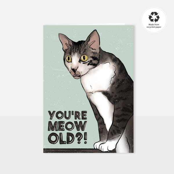 Chlo Studio Greeting Card Cat Pattern Card Meow Old?!