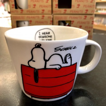 Japanese Snoopy Ceramic Coffee Mug Porcelain Cup House