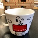 Japanese Snoopy Ceramic Coffee Mug Porcelain Cup House