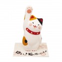 Japanese Lucky Ornament Unglazed Ceramic Home Decoration Inviting Cat Mike