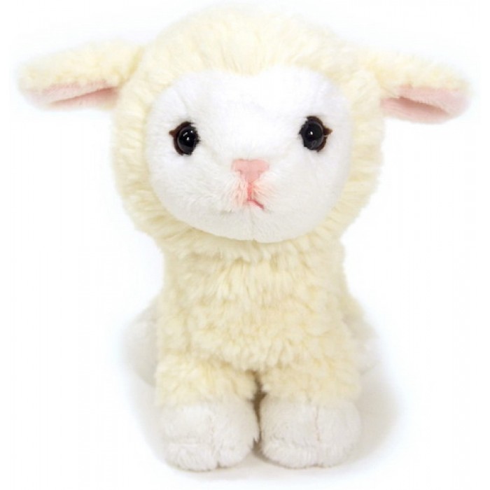 small lamb plush