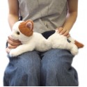 Japanese Hiza Neko Cat Soft Toy For Kids Stuffed Animal Cat Plush Toy  36cm