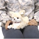 Hizawanko Beige Chihuahua Dog Soft Toy  26cm 05043
