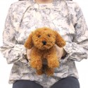Hizawanko Brown Teddy Dog Soft Toy  26cm 05045