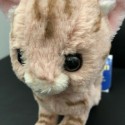 KITTEN Japanese Small Cute Cat Soft Toy For Kids Stuffed Animal Cat Plush Toy
