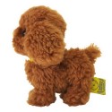 PUPS! Japanese Small Brown Poodle Puppy Soft Toy For Kids Stuffed Animal Dog Plush Toy