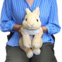 Sunlemon Beige Rabbit Soft Toy For Kids Stuffed Animal Plush Toy 37cm