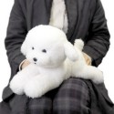 Hizawanko Bichon Friese Dog Soft Toy For Kids Stuffed Animal Plush Toy