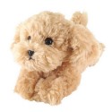 Hizawanko Beige Teddy Dog Soft Toy For Kids Stuffed Animal Plush Toy